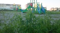 Саяногорск Инфо - Присоединённое изображение
