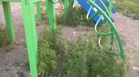 Саяногорск Инфо - Присоединённое изображение