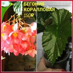 Саяногорск Инфо - Присоединённое изображение