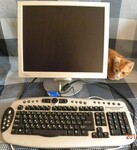 Саяногорск Инфо - Присоединённое изображение