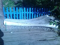 Саяногорск Инфо - Присоединённое изображение