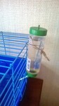 Саяногорск Инфо - Присоединённое изображение