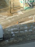 Саяногорск Инфо - Присоединённое изображение