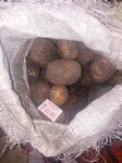 Саяногорск Инфо - Присоединённое изображение