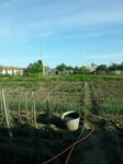 Саяногорск Инфо - Присоединённое изображение