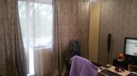 Саяногорск Инфо - Присоединённое изображение