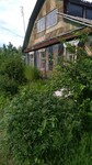 Саяногорск Инфо - Присоединённое изображение