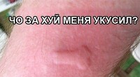 Саяногорск Инфо - Присоединённое изображение