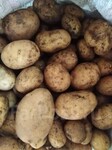 Саяногорск Инфо - Присоединённое изображение
