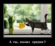 Саяногорск Инфо - Присоединённое изображение
