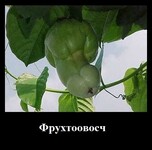 Саяногорск Инфо - Присоединённое изображение