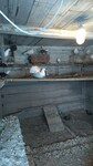 Саяногорск Инфо - Присоединённое изображение