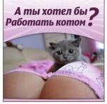 Саяногорск Инфо - Присоединённое изображение