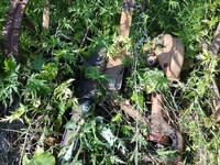 Саяногорск Инфо - Присоединённое изображение
