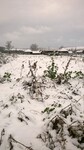Саяногорск Инфо - Присоединённое изображение