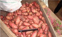 Саяногорск Инфо - Присоединённое изображение