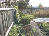 Саяногорск Инфо - Присоединённое изображение