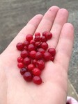 Саяногорск Инфо - Присоединённое изображение