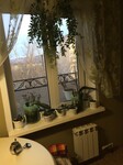 Саяногорск Инфо - Присоединённое изображение
