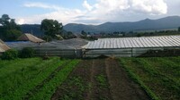 Саяногорск Инфо - Присоединённое изображение