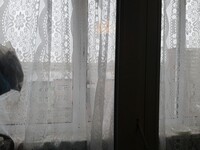 Саяногорск Инфо - Присоединённое изображение