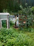 Саяногорск Инфо - Присоединённое изображение