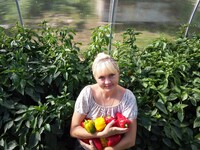 Саяногорск Инфо - Присоединённое изображение