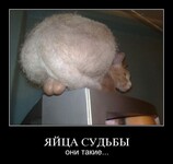 Саяногорск Инфо - Присоединённое изображение