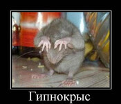 Саяногорск Инфо - Присоединённое изображение