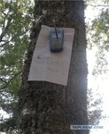 Саяногорск Инфо - Присоединённое изображение