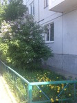 Саяногорск Инфо - Присоединённое изображение