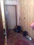 Саяногорск Инфо - Присоединённое изображение