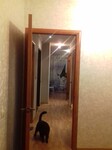 Саяногорск Инфо - Присоединённое изображение