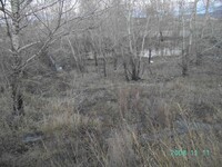 Саяногорск Инфо - Присоединённое изображение