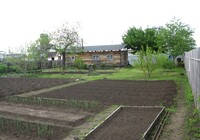 Саяногорск Инфо - Присоединённое изображение