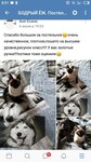 Саяногорск Инфо - Присоединённое изображение