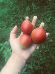 Саяногорск Инфо - Присоединённое изображение