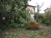 Саяногорск Инфо - Присоединённое изображение
