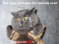 Саяногорск Инфо - Присоединённое изображение