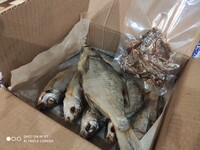 Саяногорск Инфо - Присоединённое изображение