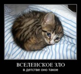 Саяногорск Инфо - Присоединённое изображение
