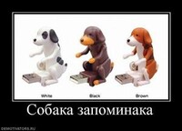 Саяногорск Инфо - Присоединённое изображение
