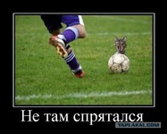 Саяногорск Инфо - Присоединённое изображение