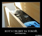 Саяногорск Инфо - Присоединённое изображение