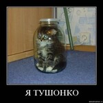 Саяногорск Инфо - Присоединённое изображение