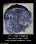 Саяногорск Инфо - Присоединённое изображение