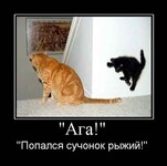 Саяногорск Инфо - Присоединённое изображение