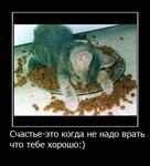 Саяногорск Инфо - Присоединённое изображение
