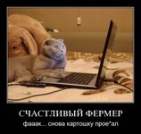 Саяногорск Инфо - Присоединённое изображение