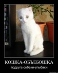 Саяногорск Инфо - Присоединённое изображение